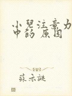 小儿注意力不集中的 原因