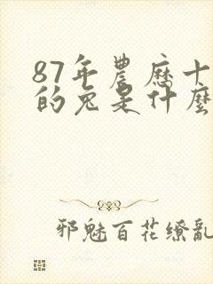 87年农历十月的兔是什么命封面