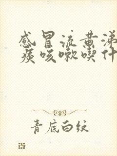 感冒流黄涕咳黄痰咳嗽吃什么药