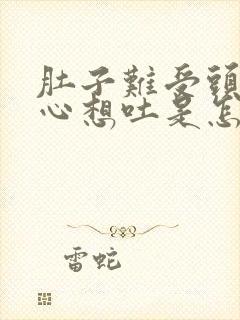 肚子难受头晕恶心想吐是怎么回事