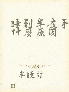 睡到半夜手麻了什么原因封面