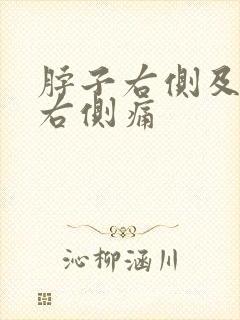 脖子右侧及肩膀右侧痛