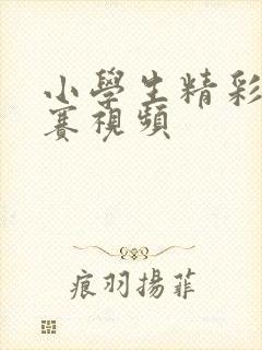 小学生精彩辩论赛视频