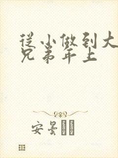 从小做到大骨科兄弟年上