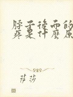 脖子后面的大筋疼是什么原因封面