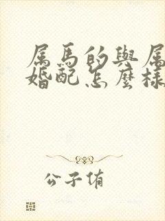 属马的与属龙的婚配怎么样