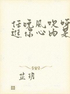 任晚风吹呀吹吹进你心内是哪首粤语歌封面