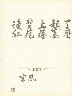 后背上起了一片红疙瘩怎么回事