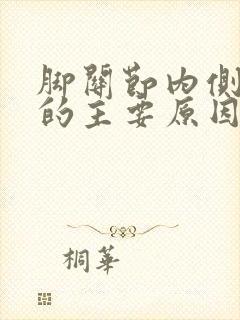 脚关节内侧疼痛的主要原因