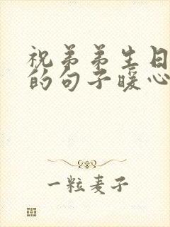 祝弟弟生日快乐的句子暖心封面