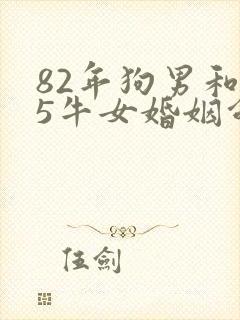 82年狗男和85牛女婚姻命运