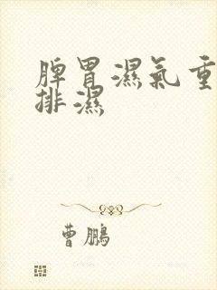 脾胃湿气重如何排湿