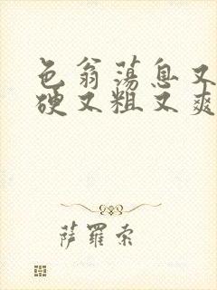 色翁荡息又大又硬又粗又爽