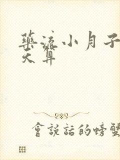 药流小月子从哪天算