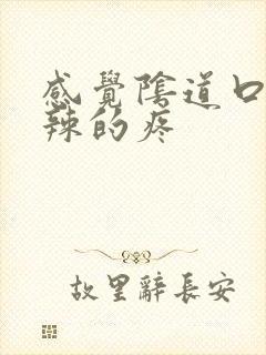 感觉阴道口火辣辣的疼