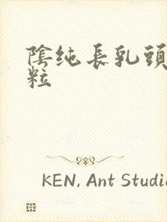 阴纯长乳头状颗粒