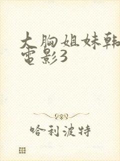 大胸姐妹韩国剧电影3