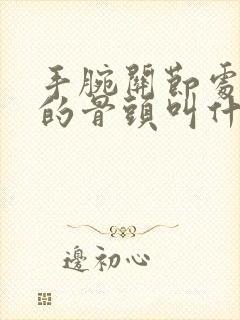 手腕关节处凸起的骨头叫什么封面