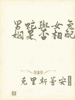 男蛇与女兔的婚姻是否相配财运怎样