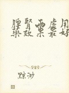 脾肾两虚用什么药效果最好