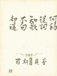 却不知从何说起这句歌词的歌封面