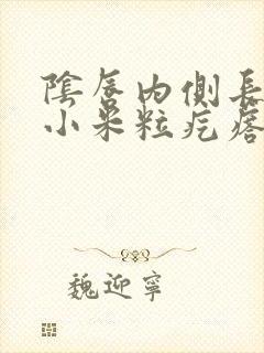 阴唇内侧长很多小米粒疙瘩怎么回事