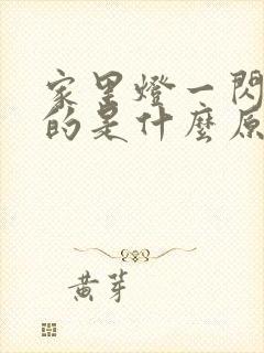 家里灯一闪一闪的是什么原因呢