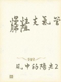 慢性支气管炎与肺阻