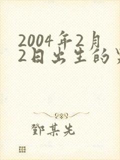 2004年2月2日出生的男孩命运封面