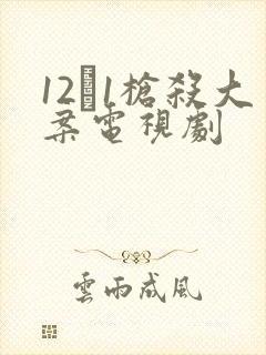 12·1枪杀大案电视剧