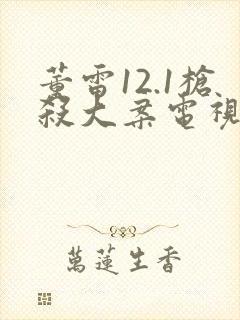 董雷12.1枪杀大案电视剧