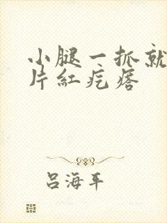 小腿一抓就痒一片红疙瘩封面