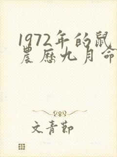1972年的鼠农历九月命运如何