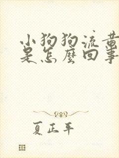 小狗狗流黄鼻涕是怎么回事