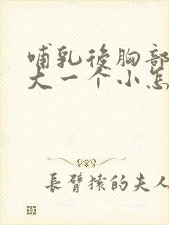 哺乳后胸部一个大一个小怎么办啊