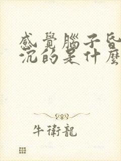 感觉脑子昏昏沉沉的是什么原因