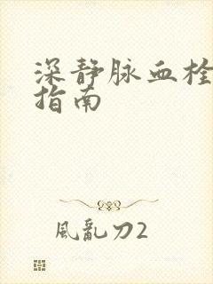 深静脉血栓治疗指南