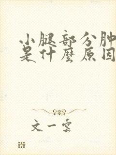 小腿部分肿还痒是什么原因引起的