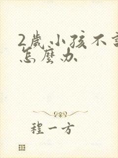 2岁小孩不说话怎么办封面