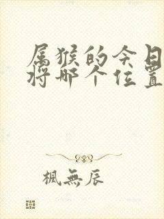 属猴的今日打麻将哪个位置好封面