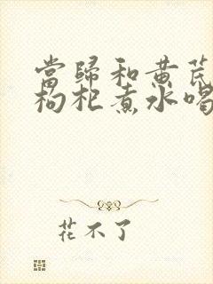 当归和黄芪红枣枸杞煮水喝的功效