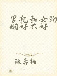 男龙和女狗配婚姻好不好封面