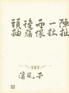 头后面一阵一阵抽痛像拉扯神经