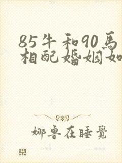 85牛和90马相配婚姻如何封面