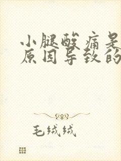 小腿酸痛是什么原因导致的