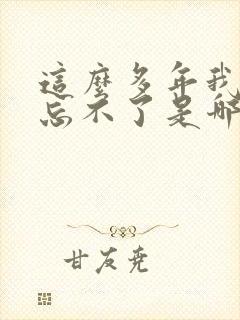 这么多年我还是忘不了是哪首歌歌词封面