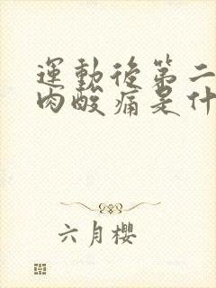 运动后第二天肌肉酸痛是什么原因封面