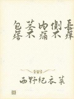 包茎内侧长小疙瘩不痛不痒