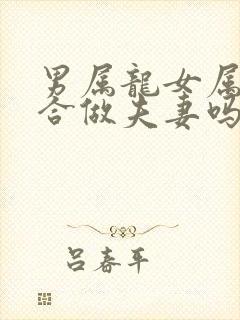 男属龙女属兔适合做夫妻吗