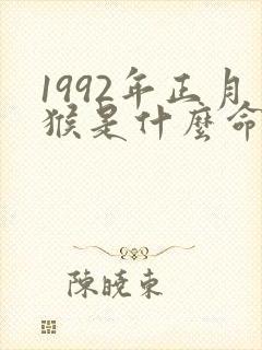 1992年正月猴是什么命